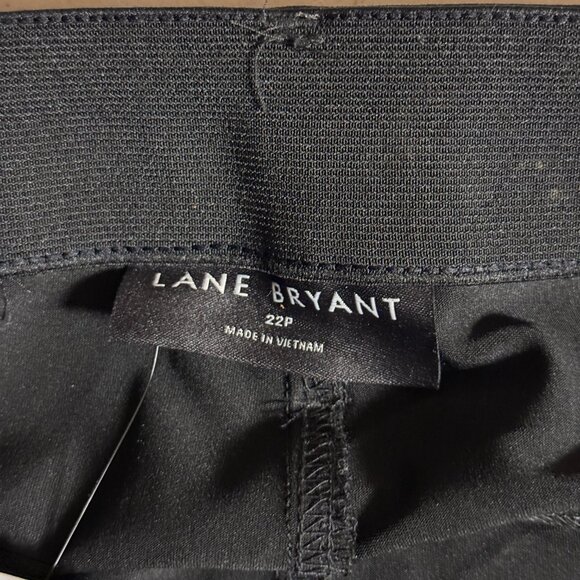 Lane Bryant Faux Leather Pants Plus Size 22P NWT Petite - Picture 8 of 11